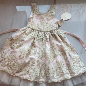 Elegant Floral Embroidered Dress